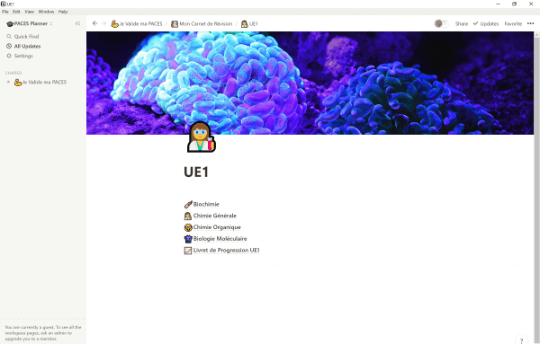 PACES Planner – Image 3