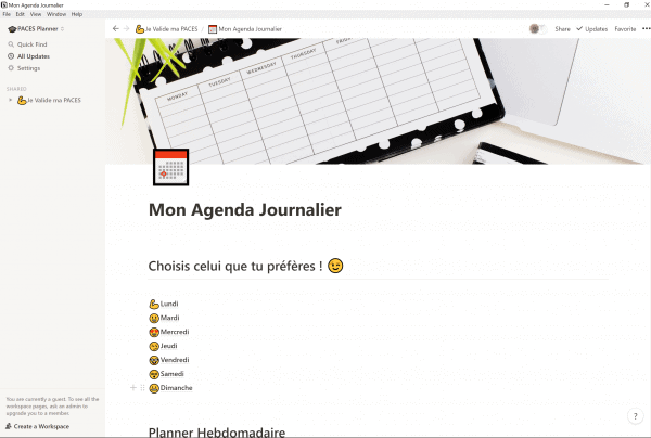 PACES Planner – Image 2